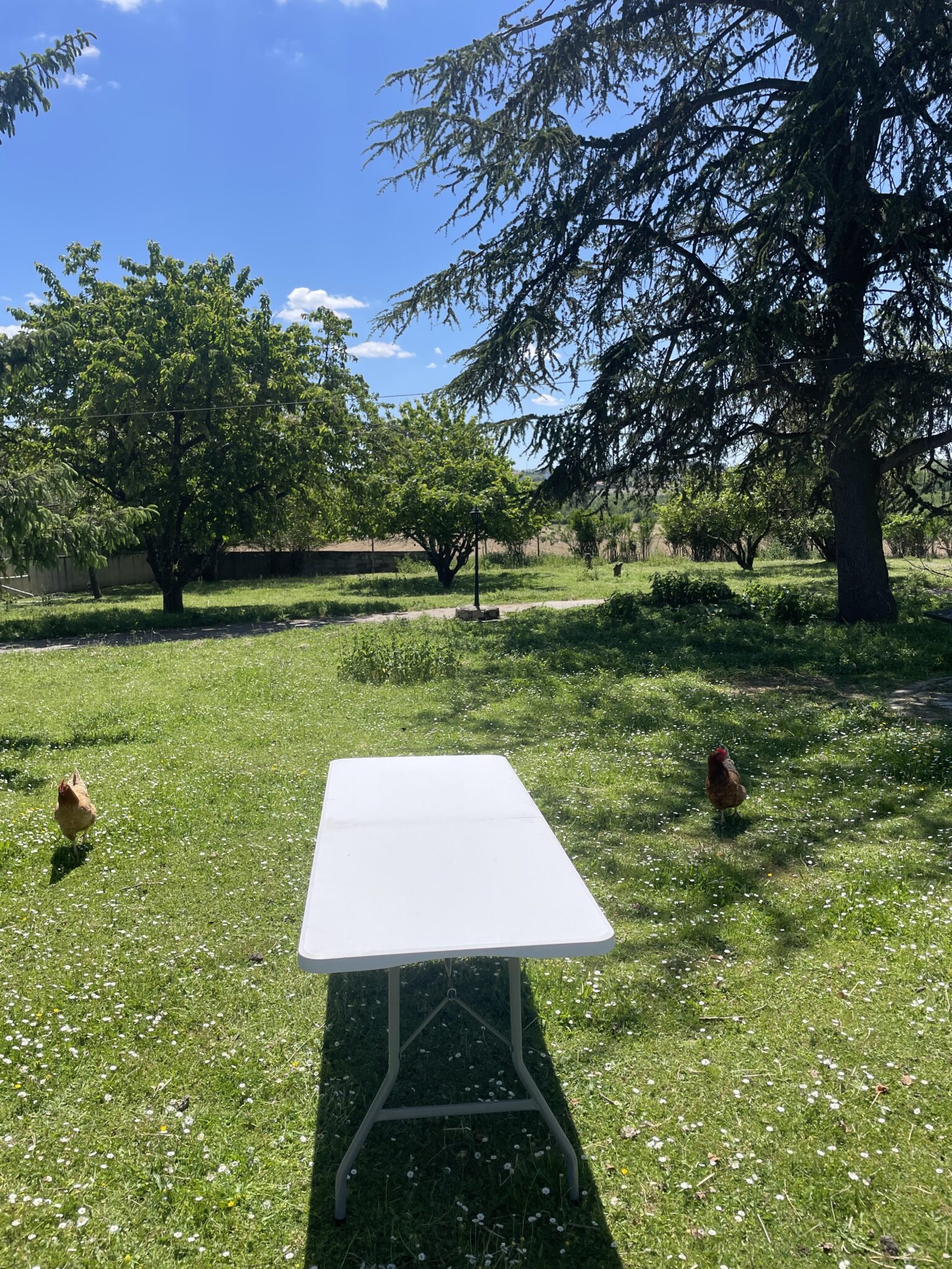 img 0060