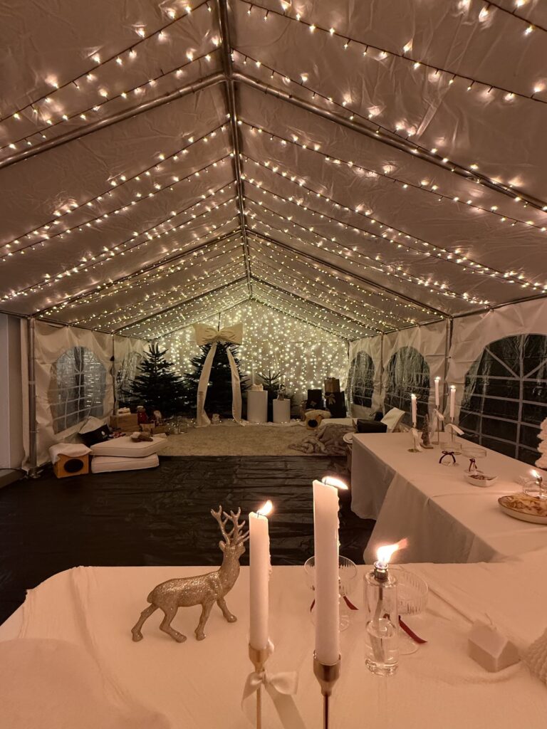 location abri de jardin blanc 60 personnes meyzieu